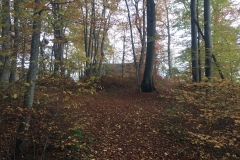 Burgruine Alt Schauenburg, Frenkendorf BL, CH.