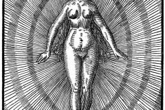 LTQE_1574_05_Seele