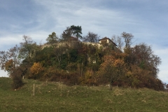 Toms wunderschöne Burgenwanderung: Pratteln, Madeln, Schauenburg, Reichenstein