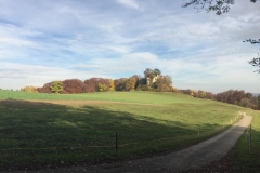 Toms wunderschöne Burgenwanderung: Pratteln, Madeln, Schauenburg, Reichenstein